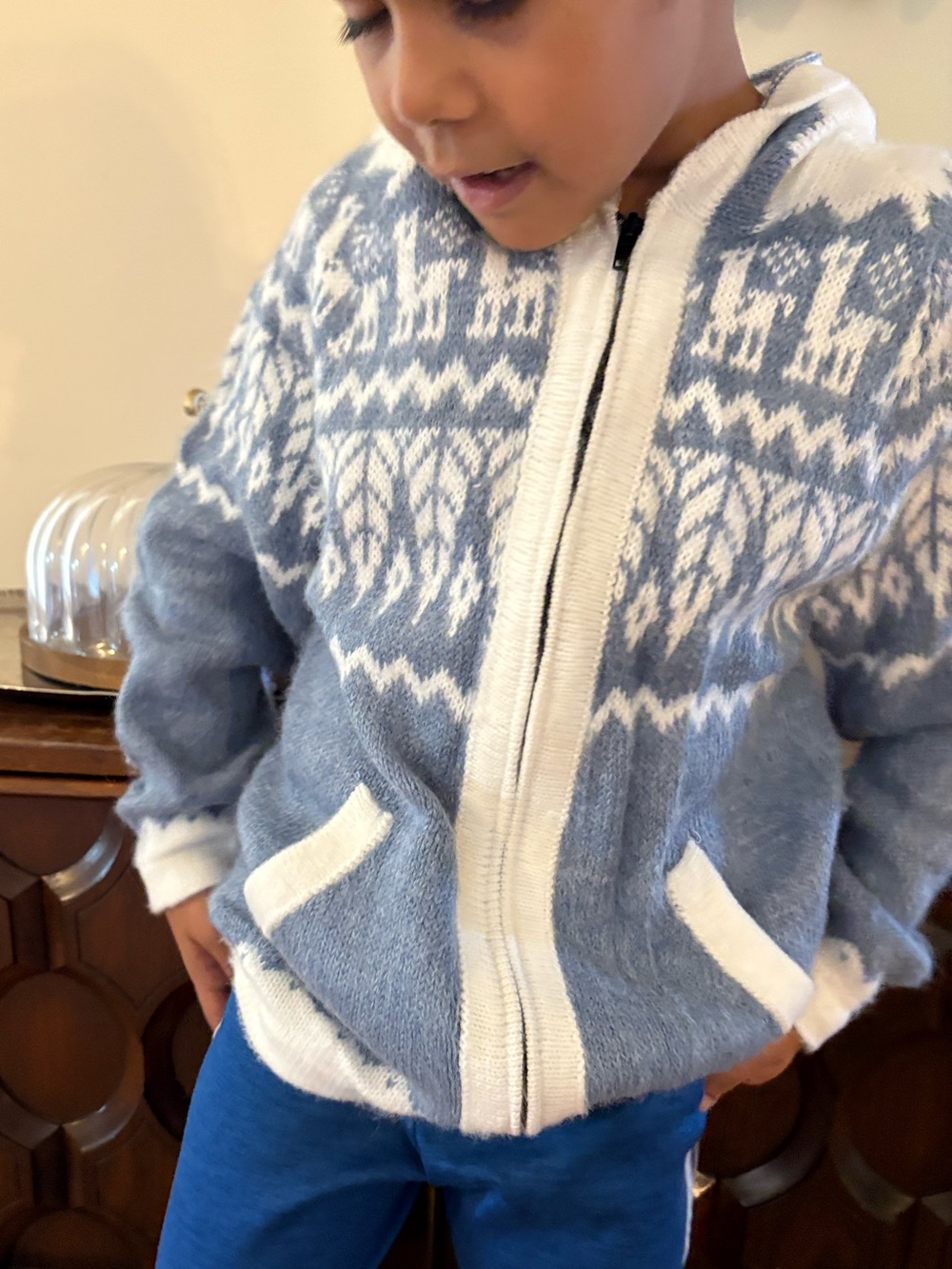 Cozy knit Kids Blue & White Zip Hoodie Jacket